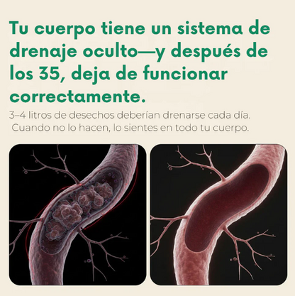Dile Adiós a la inflamación crónica con Drenaje Linfático natural